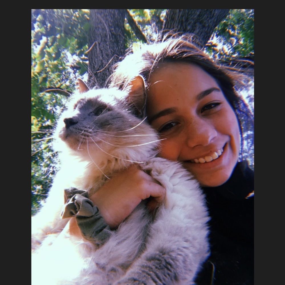 Meet your Posher, Abbie